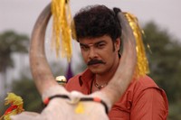 Tamil Movie   Murattu Kaalai Stills
